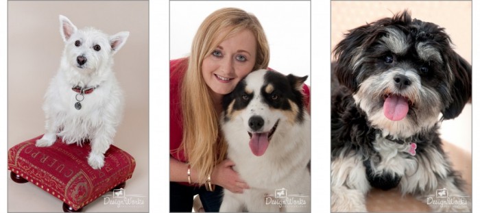 three pet portraits dogs