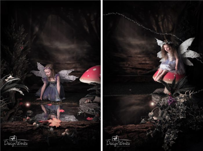fairy portraits ireland